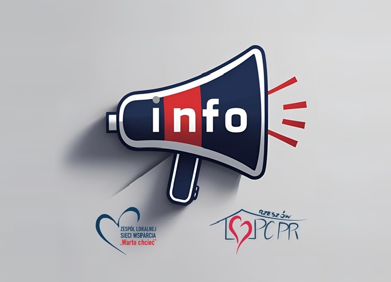 Zespół Lokalnej Sieci Wsparcia Warto Chcieć - informacje