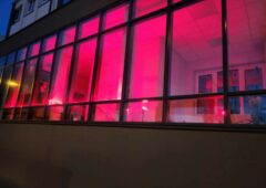 Czerwone światło dla przemocy wobec Dzieci